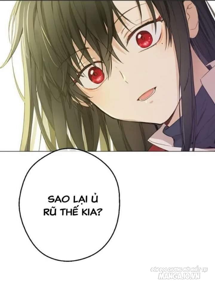 Một Ngày Nọ Tôi Bỗng Thành Nàng Công Chúa Chapter 69 - Trang 2