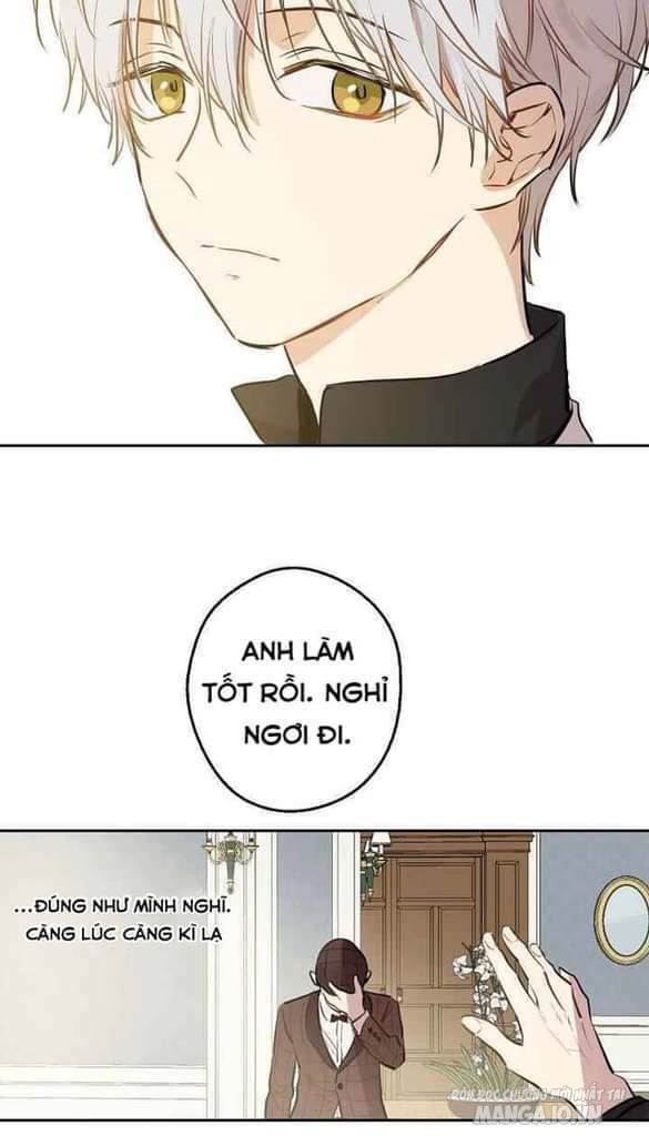 Một Ngày Nọ Tôi Bỗng Thành Nàng Công Chúa Chapter 62 - Trang 2