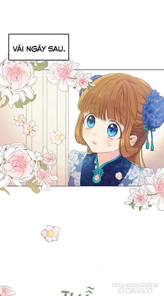 Một Ngày Nọ Tôi Bỗng Thành Nàng Công Chúa Chapter 59 - Trang 2
