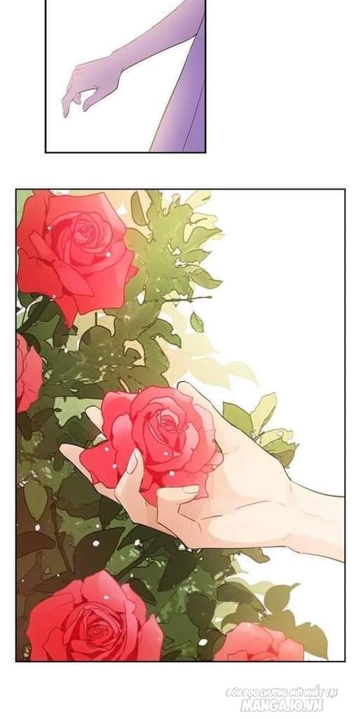 Một Ngày Nọ Tôi Bỗng Thành Nàng Công Chúa Chapter 54 - Trang 2