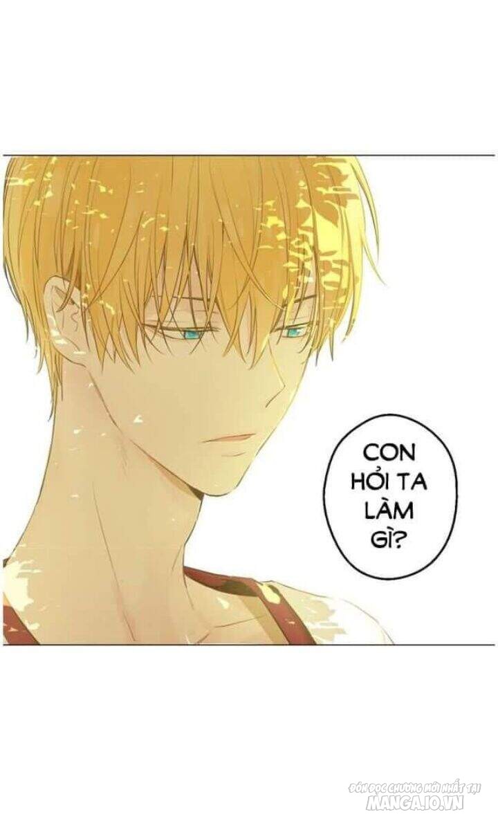 Một Ngày Nọ Tôi Bỗng Thành Nàng Công Chúa Chapter 44 - Trang 2