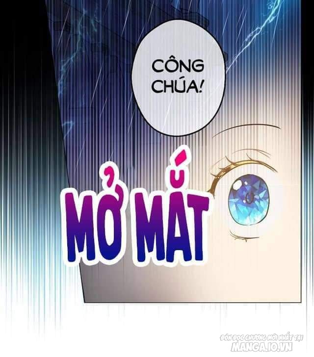 Một Ngày Nọ Tôi Bỗng Thành Nàng Công Chúa Chapter 43 - Trang 2