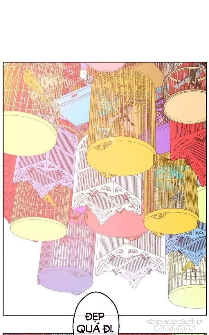 Một Ngày Nọ Tôi Bỗng Thành Nàng Công Chúa Chapter 35 - Trang 2