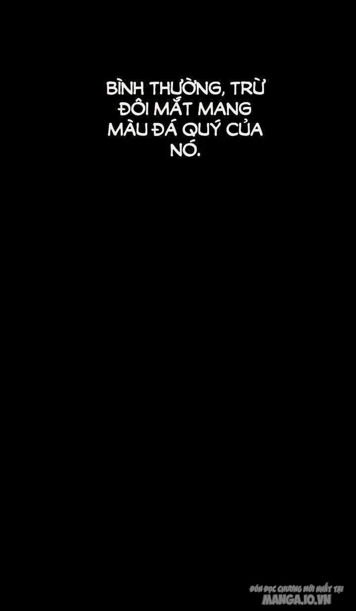 Một Ngày Nọ Tôi Bỗng Thành Nàng Công Chúa Chapter 19 - Trang 2