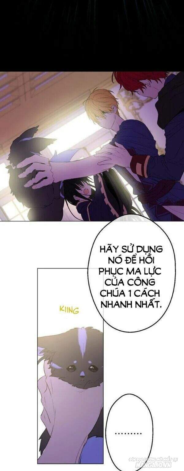 Một Ngày Nọ Tôi Bỗng Thành Nàng Công Chúa Chapter 16 - Trang 2