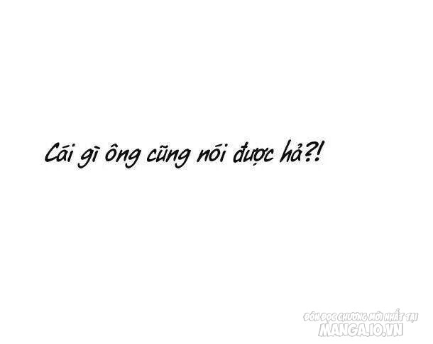 Một Ngày Nọ Tôi Bỗng Thành Nàng Công Chúa Chapter 12.5 - Trang 2