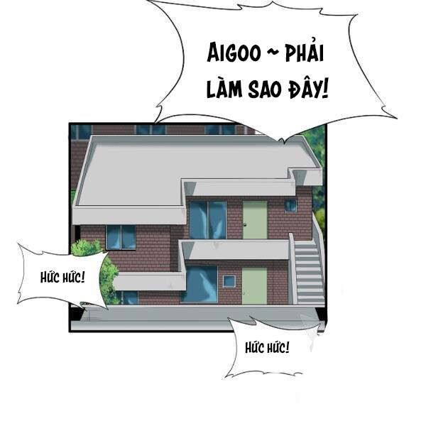 Đây Là Luật Chapter 40 - Trang 2