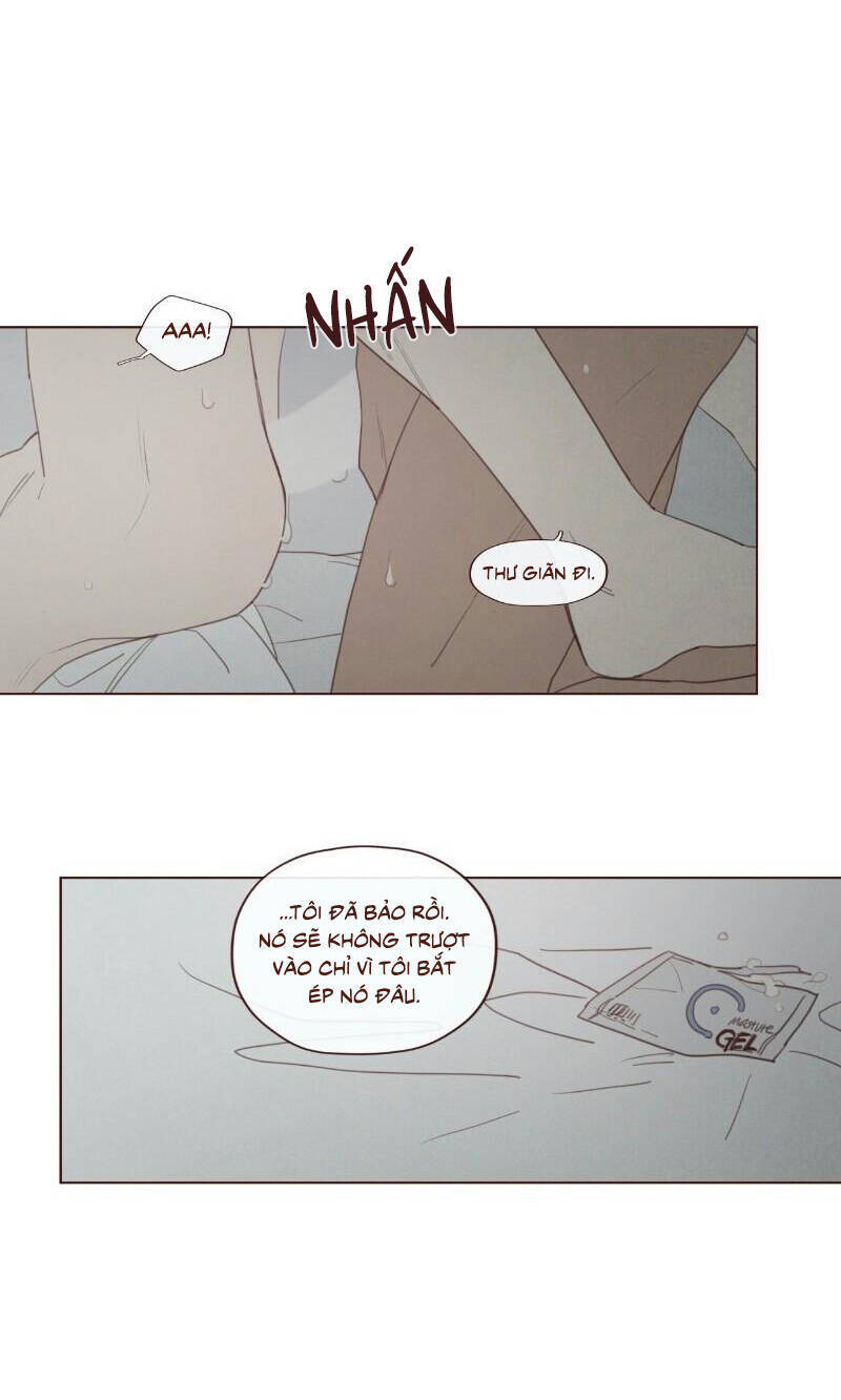 Vận Mệnh Không Mắc Sai Lầm Chapter 59 - Trang 2