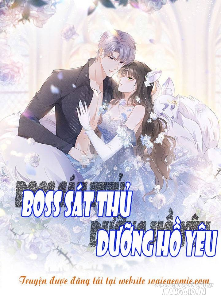 Boss Sát Thủ Dưỡng Hồ Yêu Chapter 54 - Trang 2