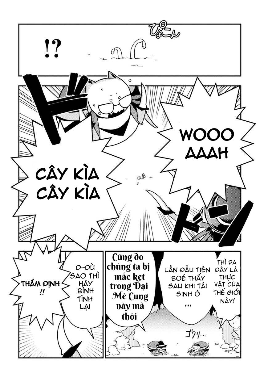 Kumo Desu Ka Nani Ka? Daily Life Of The Four Spider Sisters Chapter 21 - Trang 2