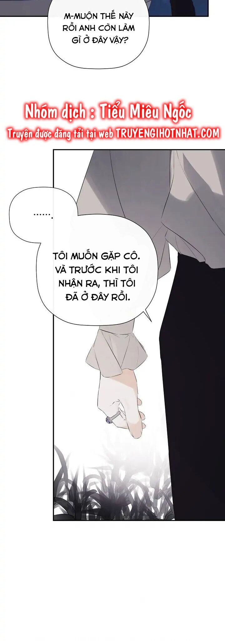 Tôi Chọc Nhầm Nam Phụ Che Giấu Thân Phận Chapter 40 - Trang 2