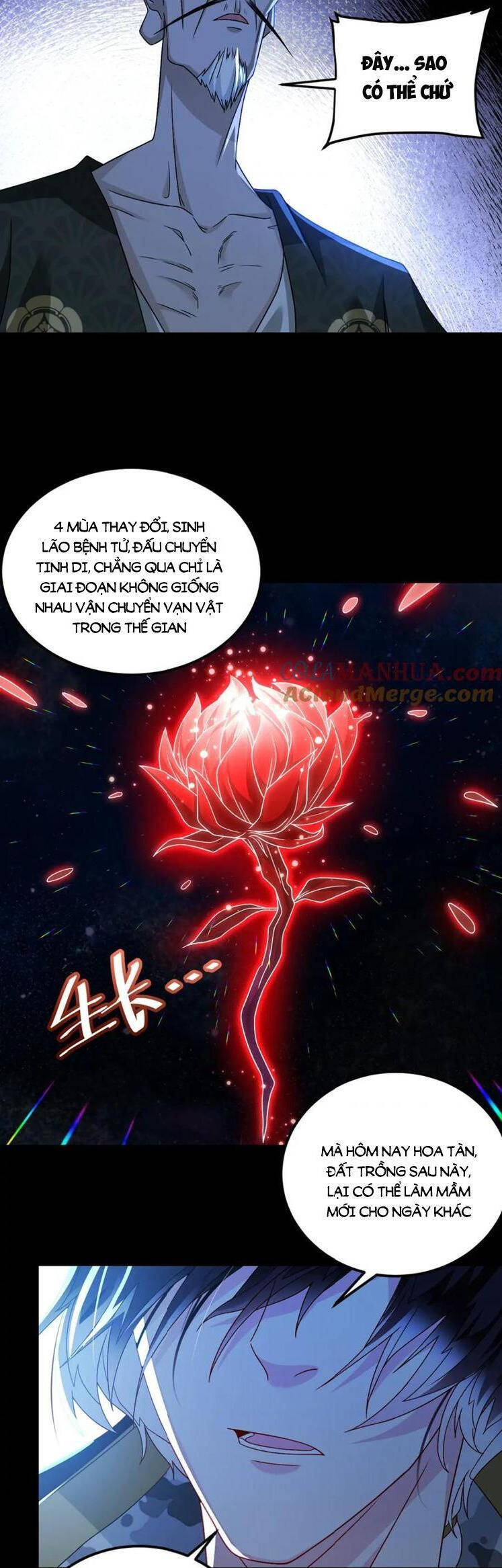 Tiên Tôn Lạc Vô Cực Chapter 242 - Trang 2