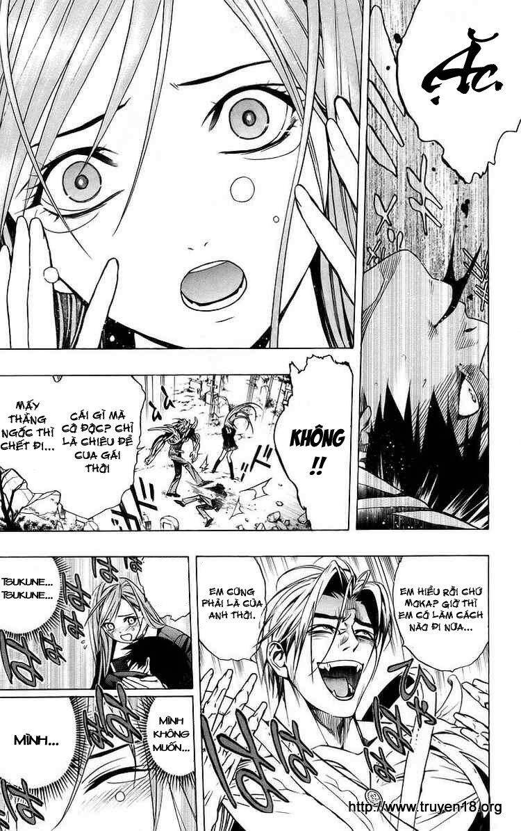 Rosario Vampire Chapter 40 - Trang 2