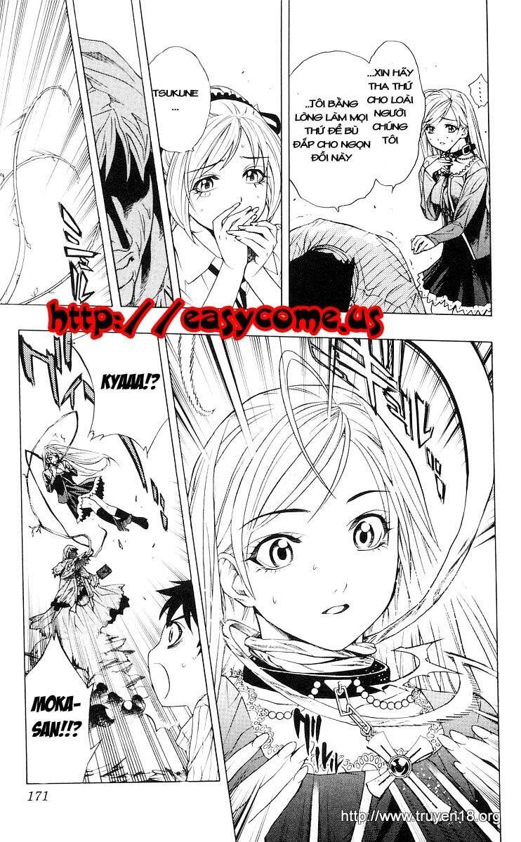 Rosario Vampire Chapter 16 - Trang 2