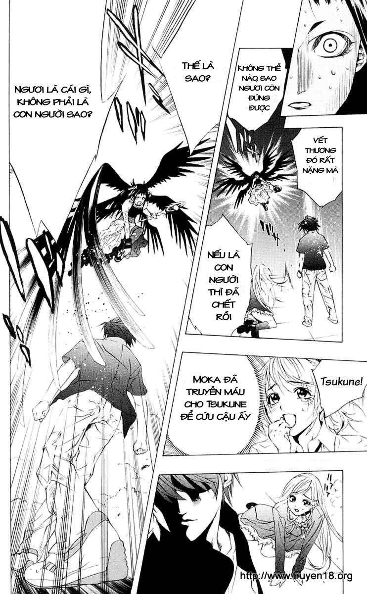 Rosario Vampire Chapter 14 - Trang 2