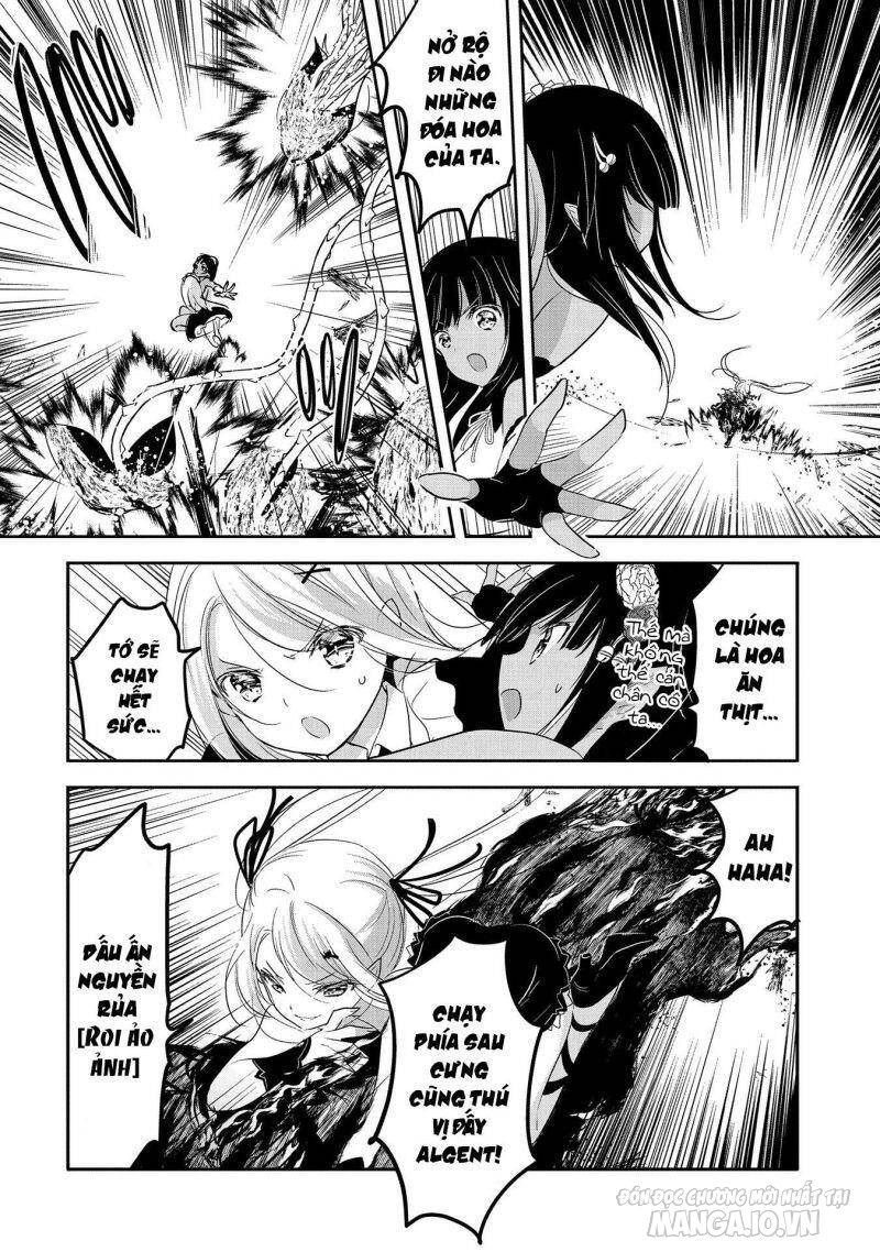 Tensei Kyuuketsukisan Wa Ohirune Ga Shitai Chapter 43 - Trang 2