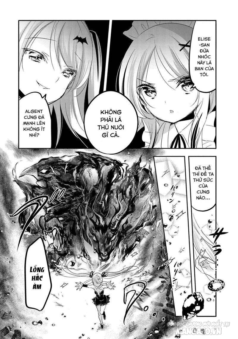 Tensei Kyuuketsukisan Wa Ohirune Ga Shitai Chapter 43 - Trang 2