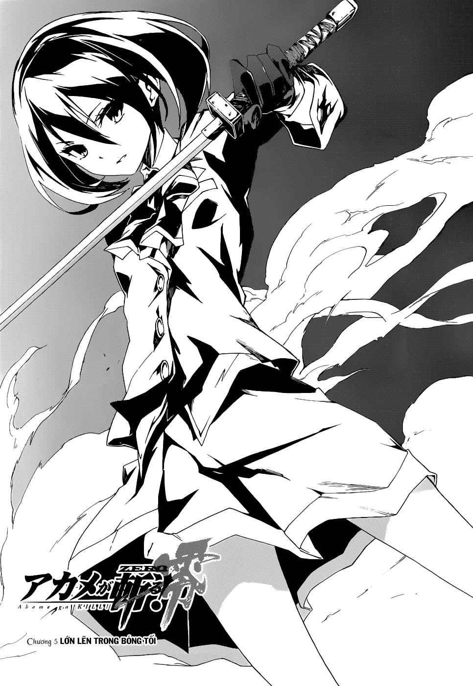 Akame Ga Kill! Zero Chapter 5 - Trang 2