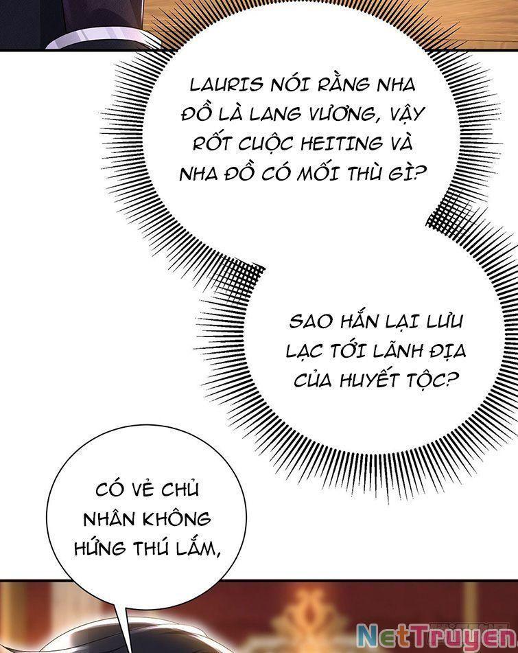 Dẫn Sói Vào Nhà Chapter 73 - Trang 2