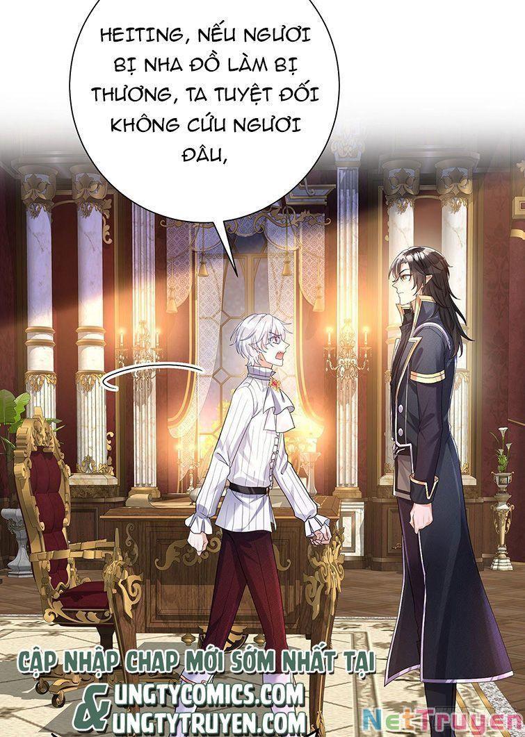 Dẫn Sói Vào Nhà Chapter 73 - Trang 2