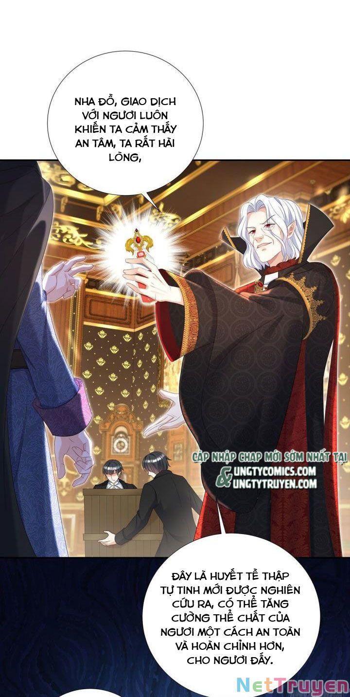 Dẫn Sói Vào Nhà Chapter 72 - Trang 2