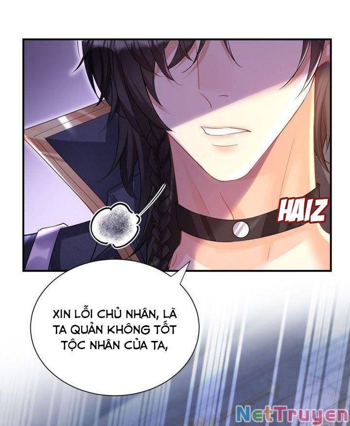 Dẫn Sói Vào Nhà Chapter 68 - Trang 2