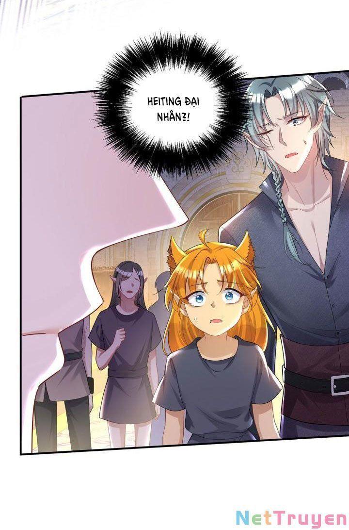 Dẫn Sói Vào Nhà Chapter 68 - Trang 2