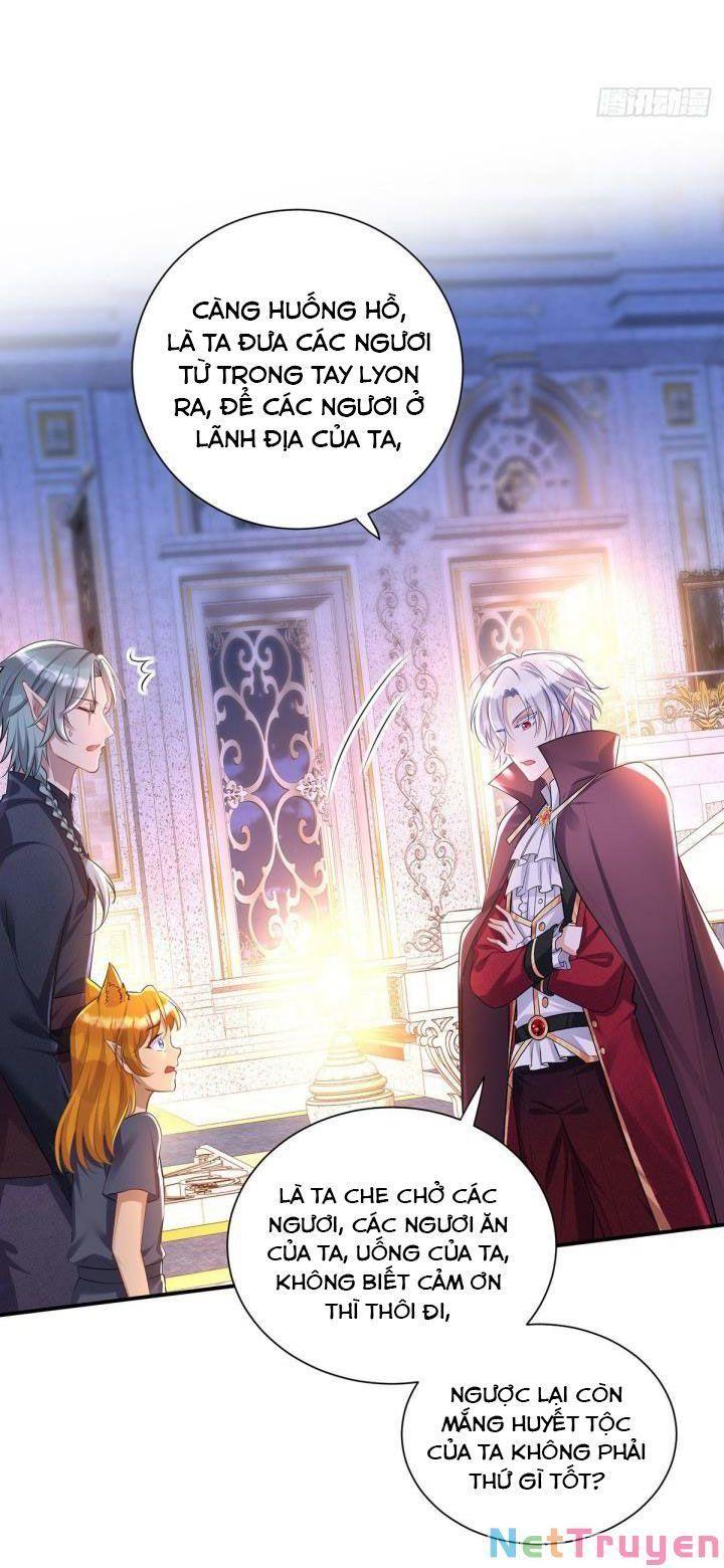 Dẫn Sói Vào Nhà Chapter 68 - Trang 2