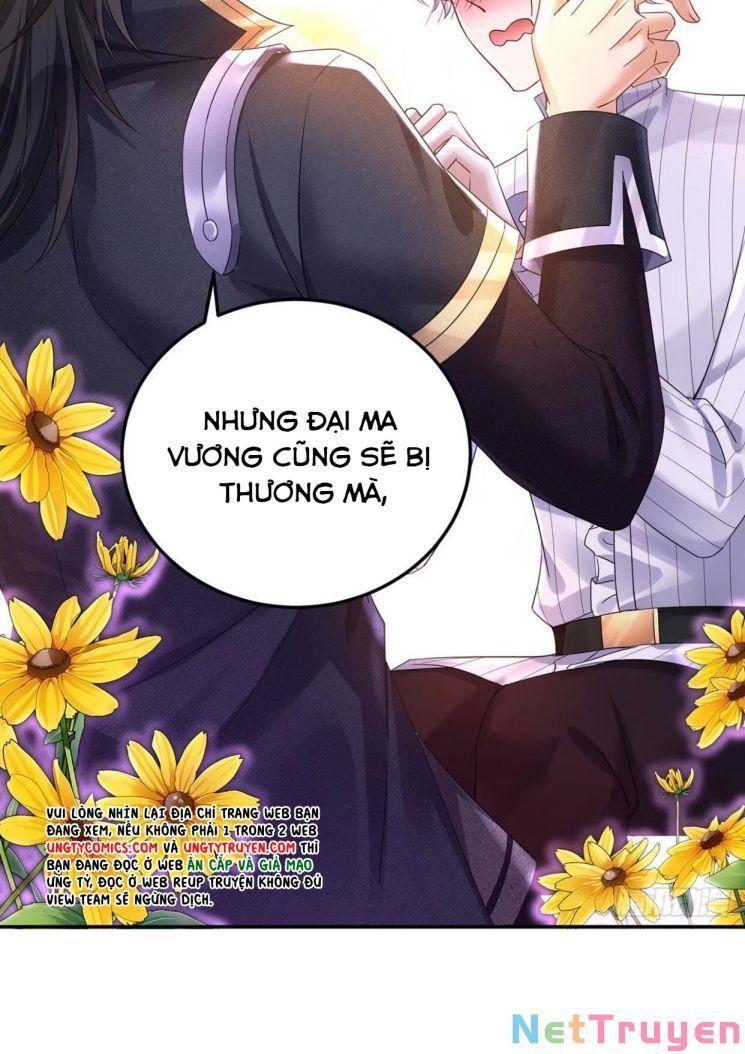 Dẫn Sói Vào Nhà Chapter 64 - Trang 2