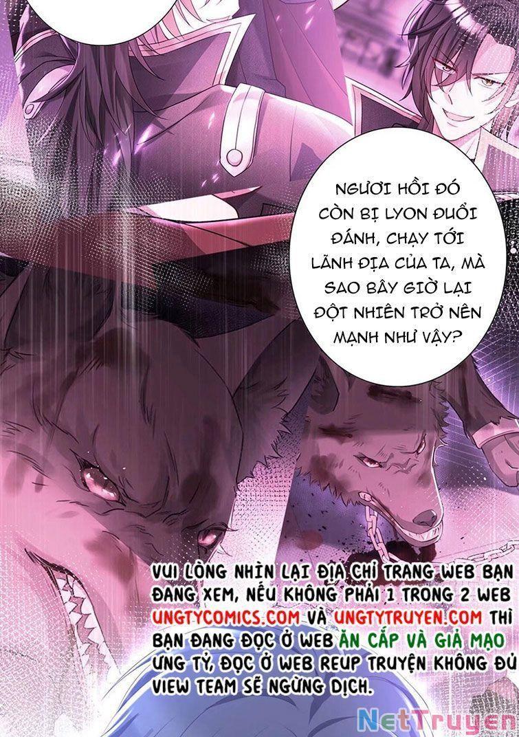 Dẫn Sói Vào Nhà Chapter 61 - Trang 2