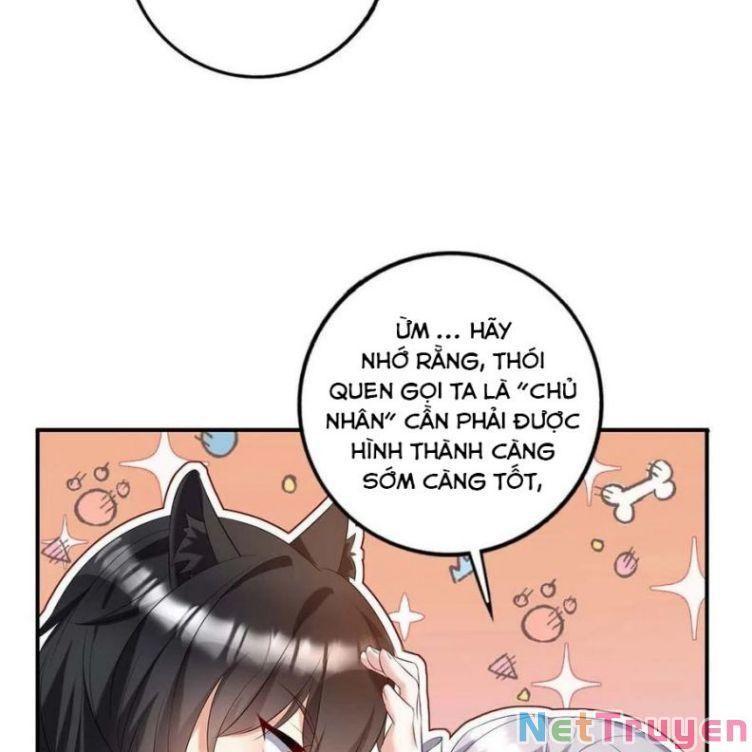 Dẫn Sói Vào Nhà Chapter 44 - Trang 2