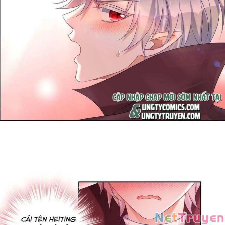 Dẫn Sói Vào Nhà Chapter 44 - Trang 2