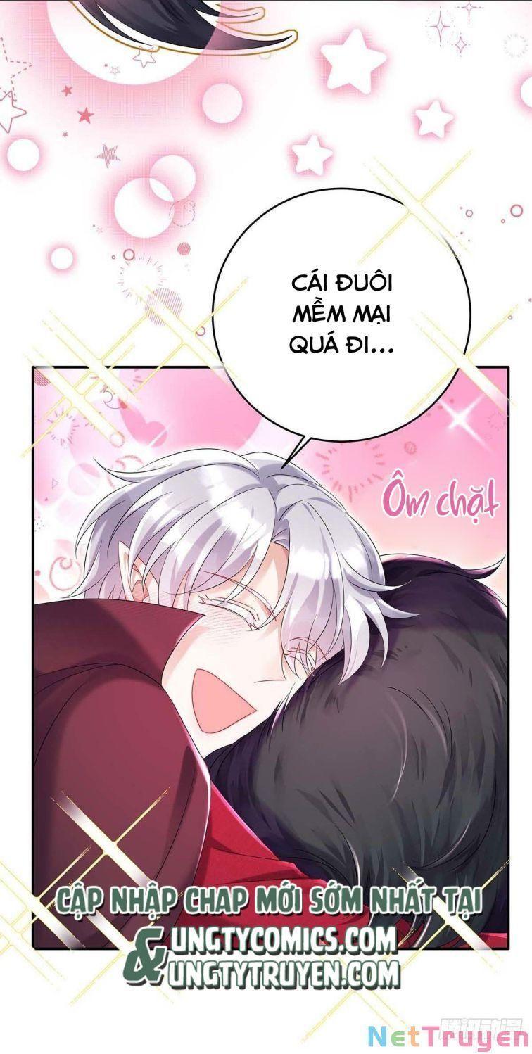 Dẫn Sói Vào Nhà Chapter 38 - Trang 2