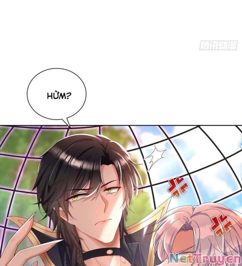 Dẫn Sói Vào Nhà Chapter 35 - Trang 2