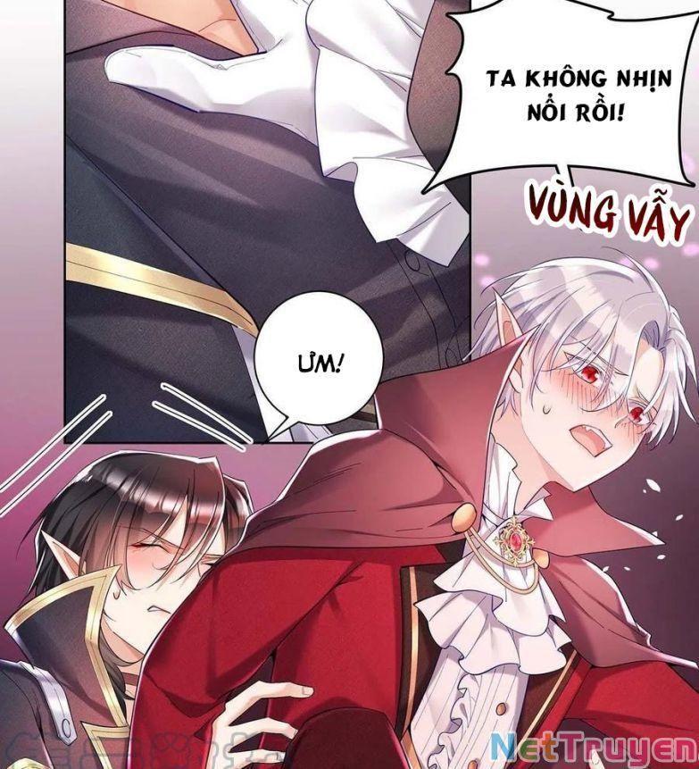 Dẫn Sói Vào Nhà Chapter 35 - Trang 2