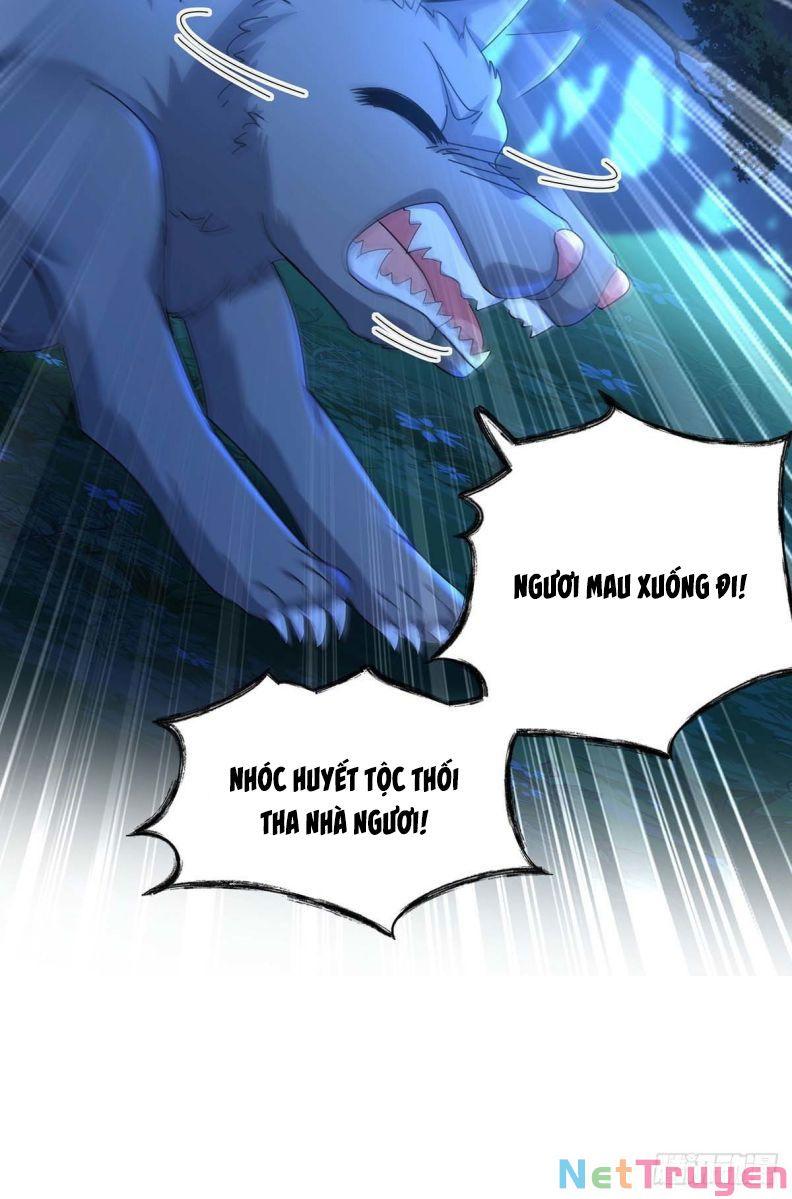 Dẫn Sói Vào Nhà Chapter 23 - Trang 2