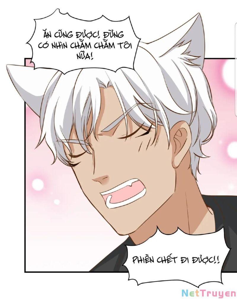 Dẫn Sói Vào Nhà Chapter 19 - Trang 2