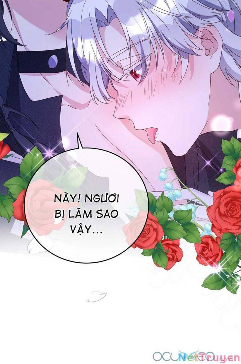 Dẫn Sói Vào Nhà Chapter 12 - Trang 2