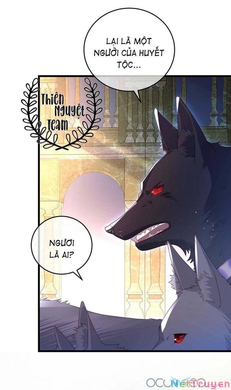 Dẫn Sói Vào Nhà Chapter 7 - Trang 2