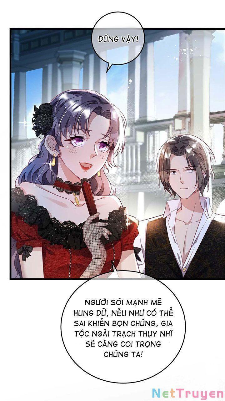 Dẫn Sói Vào Nhà Chapter 5 - Trang 2