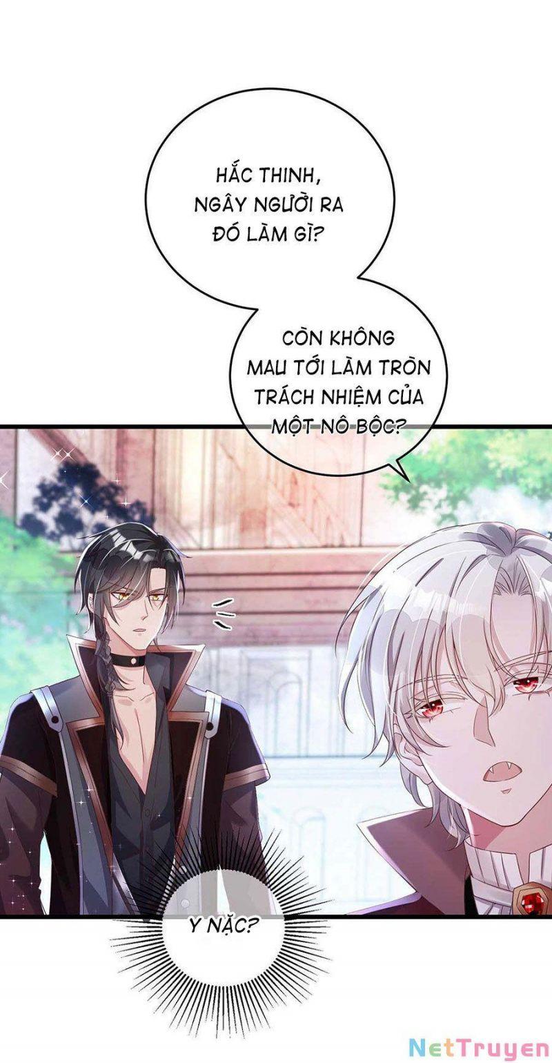 Dẫn Sói Vào Nhà Chapter 4 - Trang 2