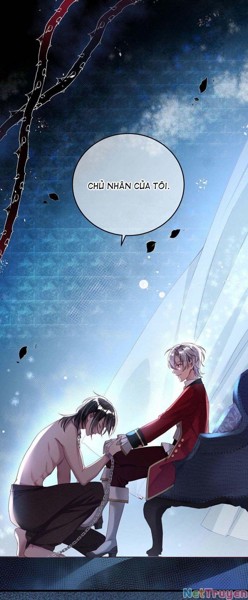 Dẫn Sói Vào Nhà Chapter 2 - Trang 2