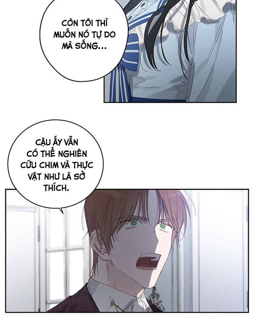 Tôi Phải Giấu Em Trai Trước Đã Chapter 6 - Trang 2