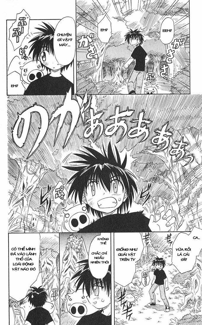 Nagasarete Airantou Chapter 4 - Trang 2