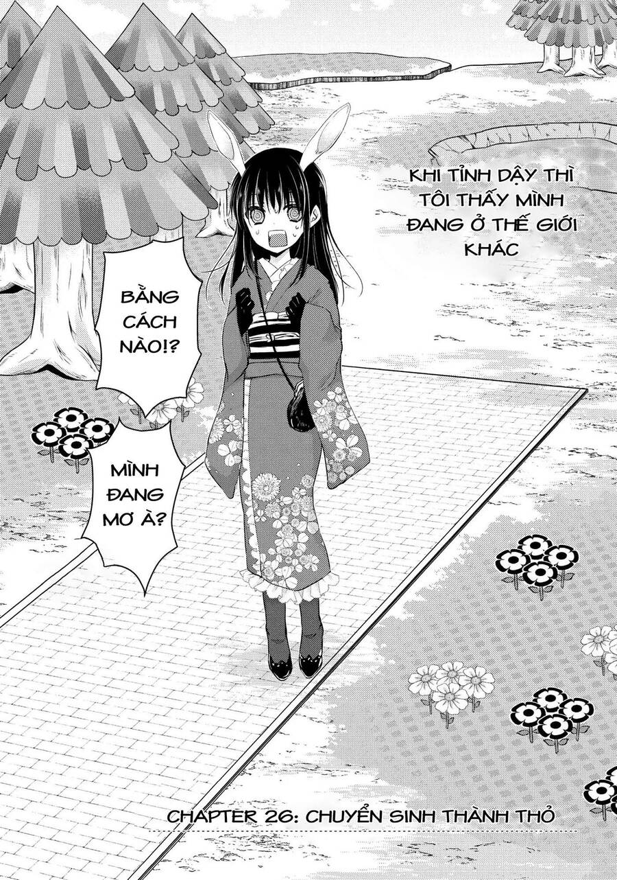 Midara Na Ao-Chan Wa Benkyou Ga Dekinai Chapter 26 - Trang 2