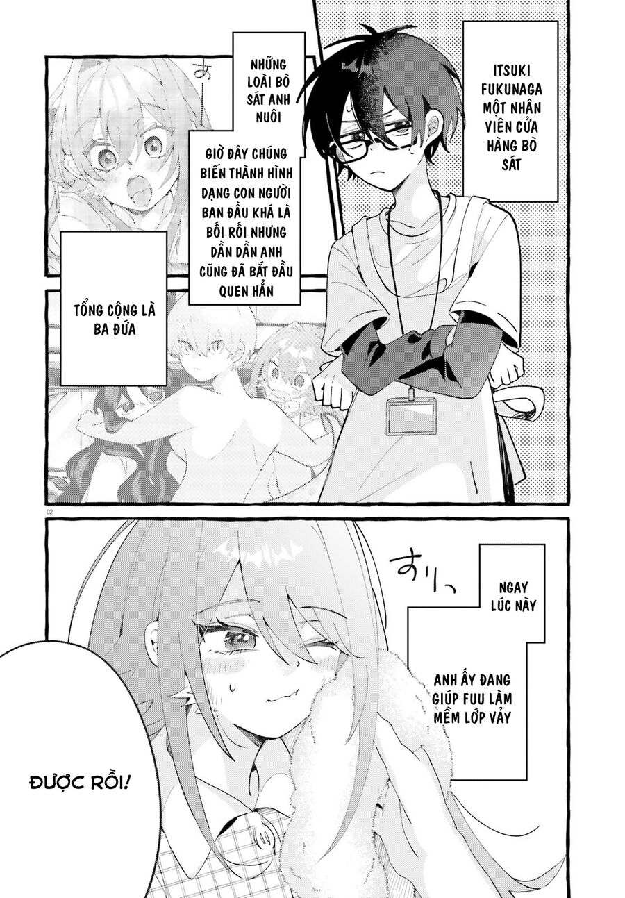 Kimi Wa Kawaii Reptile Chapter 6 - Trang 2