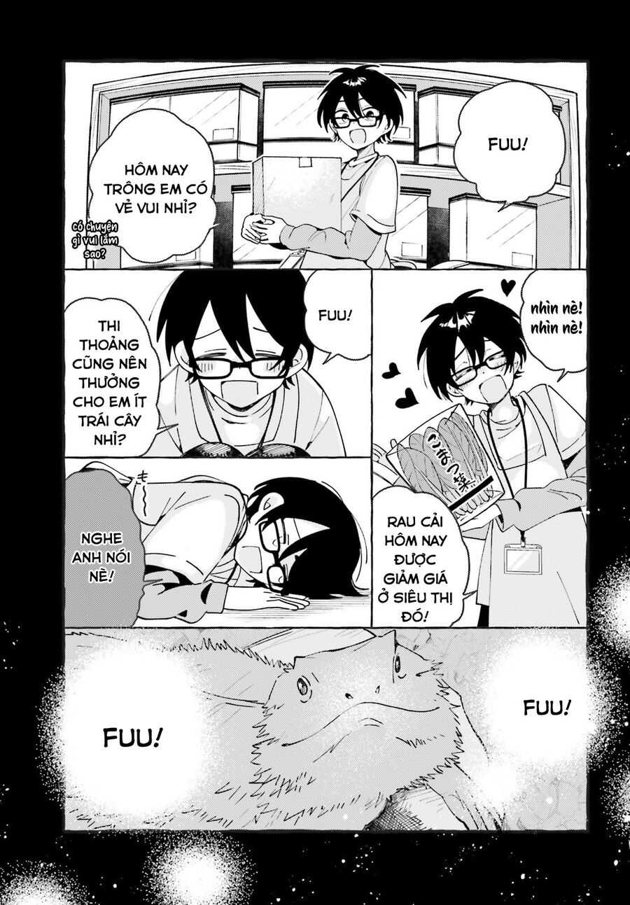 Kimi Wa Kawaii Reptile Chapter 5 - Trang 2