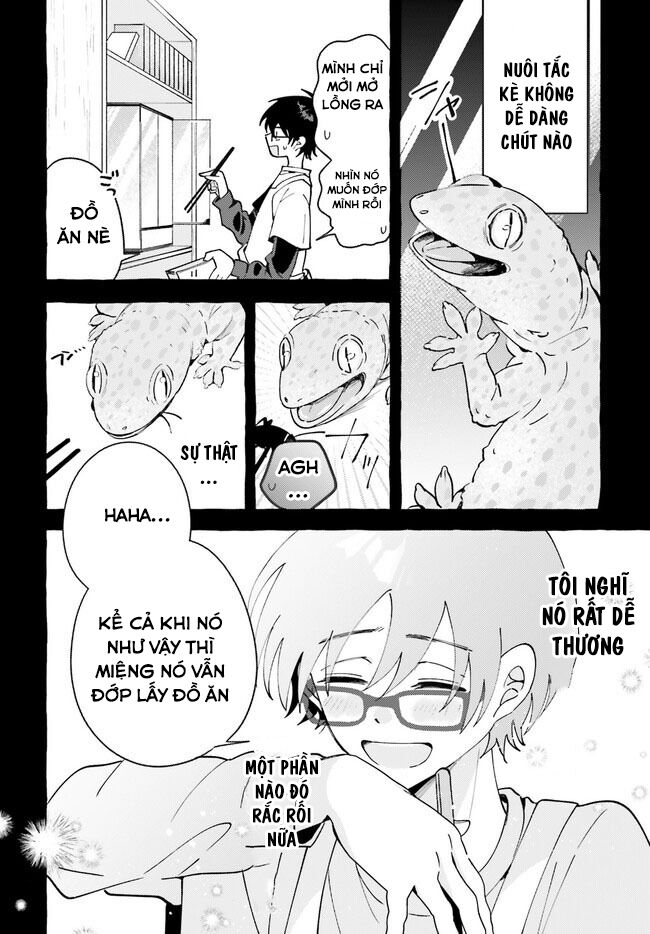 Kimi Wa Kawaii Reptile Chapter 4 - Trang 2