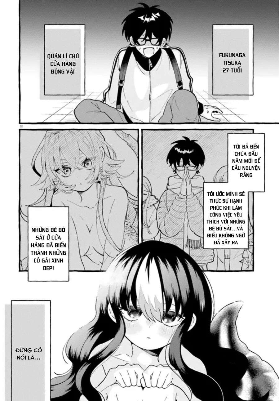 Kimi Wa Kawaii Reptile Chapter 2 - Trang 2