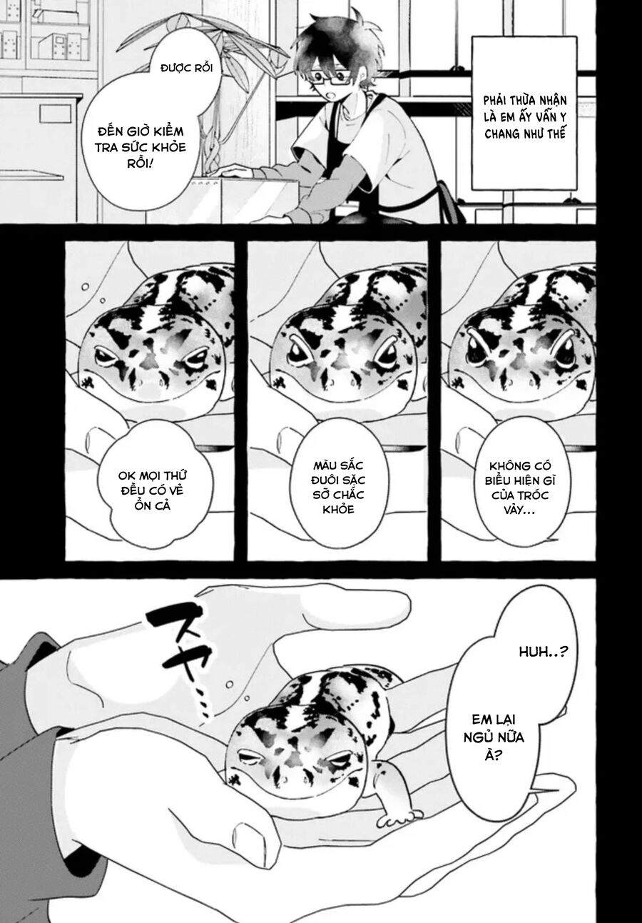 Kimi Wa Kawaii Reptile Chapter 2 - Trang 2